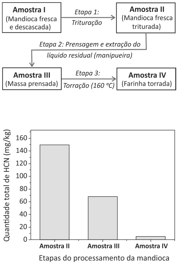 Fluxograma do processamento da mandioca da Amostra I à IV (Etapas 1: Trituração; 2: Prensagem e extração do líquido residual; 3: Torração a 160 °C) seguido por gráfico de barras mostrando a quantidade total de HCN (mg/kg) nas Amostras II (~150 mg/kg), III (~68 mg/kg) e IV (~5 mg/kg).