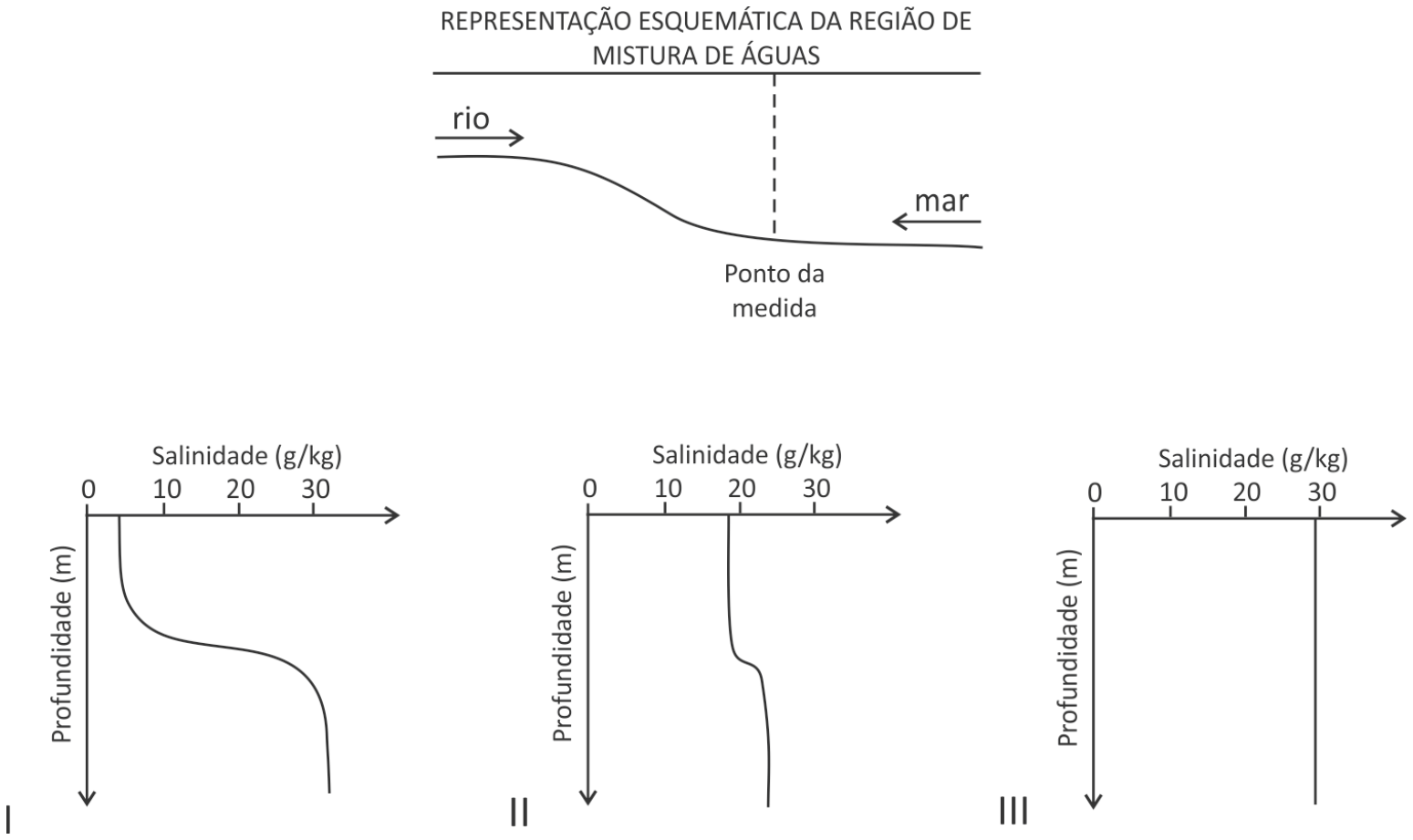Representação esquemática da região de mistura de águas entre rio e mar com indicação do ponto da medida, acompanhada de três gráficos (I, II e III) de salinidade em função da profundidade.